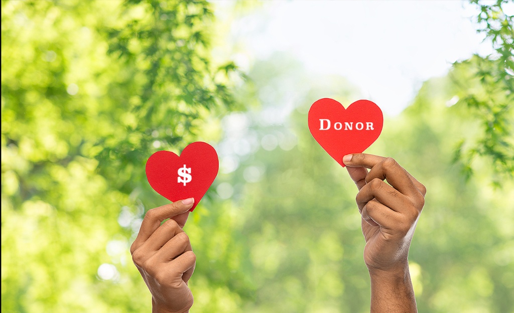 Two hands raised against green bokeh foliage, each holding a red paper heart — one marked with a dollar sign, one labelled Donor — symbolising mission-driven fundraising